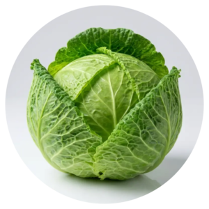 Fresh Veggies