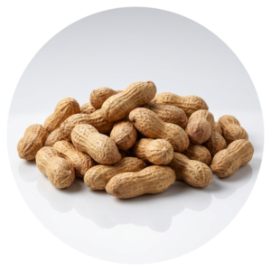 Snacks & Nuts